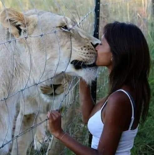 CavanCreed's tweet image. Nigga just won a million tender🤞🏾😂😂😂😂😂