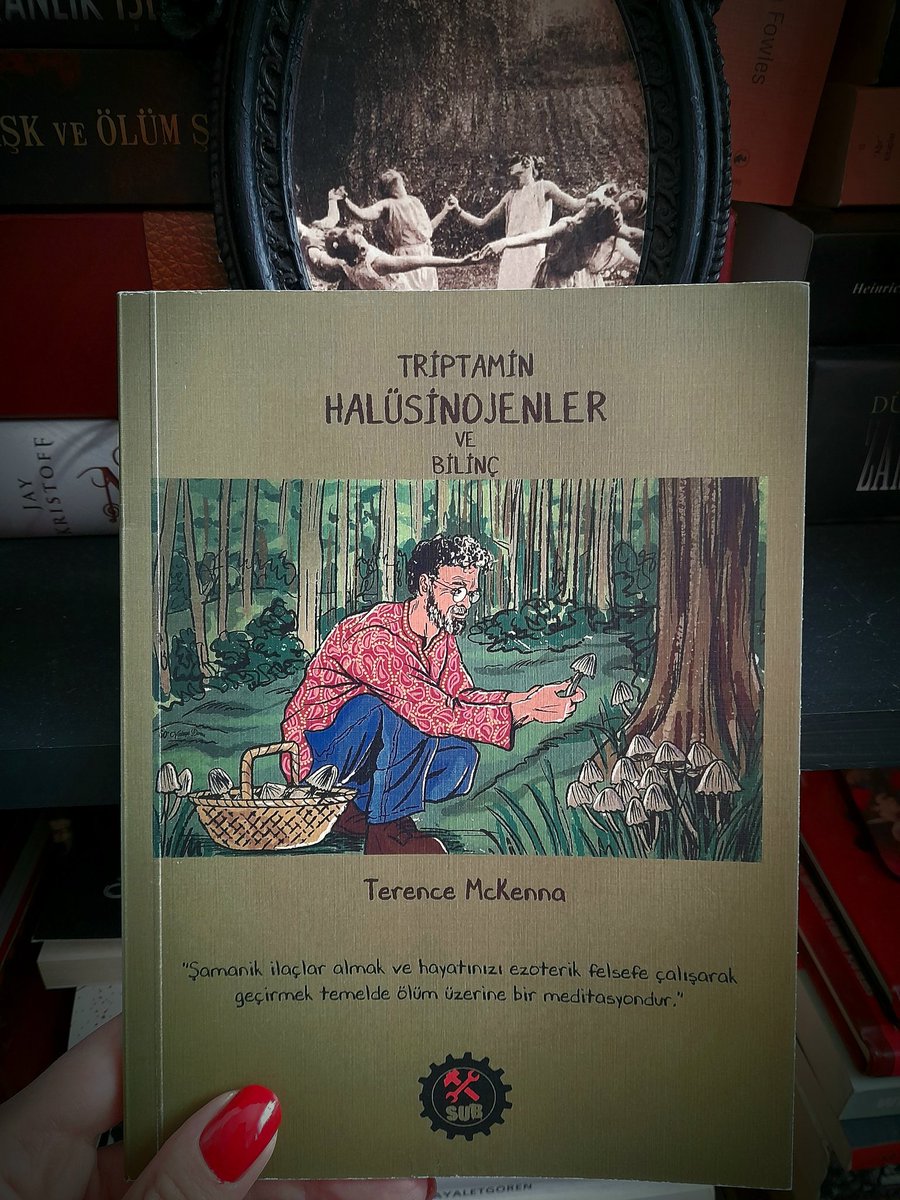 Galiba SubPress'ten çıkmış en düzgün çevirisi ve editi olan kitabı okuyorum.