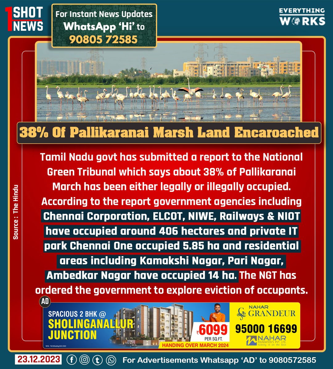 Tamil Nadu government has submitted a report to the National Green Tribunal which says about 38% of Pallikaranai March has been either legally or illegally occupied. According to the report government agencies including Chennai Corporation, ELCOT, NIWE, Railways and NIOT have