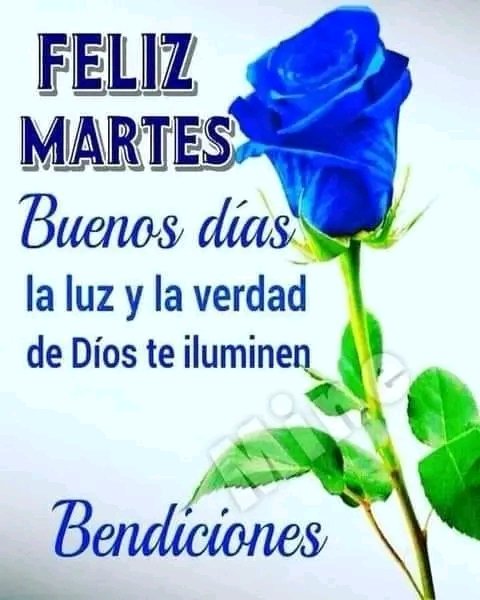 <a href="/sami86pilang/">🇮🇩🐯𝐋𝐞𝐚𝐝𝐞𝐫'𝐬🐯🇮🇩</a> <a href="/genteconvos/">PensandoEnAntioquia</a> <a href="/dbv_e/">Débora E. Vergara D. 🇵🇦</a> <a href="/porghandi/">VENEZUELA DIGITAL</a> <a href="/TulipPenney/">Tulip Penney</a> @DENISE_TIGERS_2 <a href="/lunitaestreyada/">lunita ❤️❤️❤️❤️❤️❤️‍🔥♥️♥️♥️♥️♥️</a> <a href="/nuvip08/">Nuvia</a> <a href="/la_coky07/">Any C 🌹</a> <a href="/Angel44015204/">👼☕🇦 🇳 🇬 🇪 🇱👼</a> <a href="/_Dauph1ne_/">💦🍀🐬Dauphine🐬🍀💦</a> @abrego_toni <a href="/CRUZONTIVEROS11/">CRUZ ONTIVEROS</a> <a href="/MarquesKs/">MarquesK</a> <a href="/Huatecos3/">José Manuel</a> <a href="/Minerva74195581/">MINE</a> <a href="/Minerva44827476/">MINERVA</a> <a href="/DavidCo50688306/">✌David Correa✌</a> <a href="/TitaFuenmayor/">Raisa Fuenmayor</a> <a href="/MarianneRamos13/">Inspiración Magica</a>