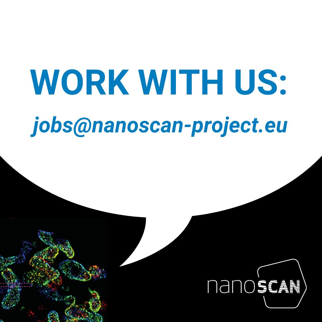 Interested in working with us? Let's revolutionise spatial biology together! 💪 ➡ Contact us: jobs@nanoscan-project.eu ➡ Find all open positions: nanoscan-project.eu/jobs/ @CNRS @ISMOlab_Orsay @fisipolimi @polimi @CNRsocial_ #jobsinphysics #stemjobs #PhysicsCareers #OpticsJobs