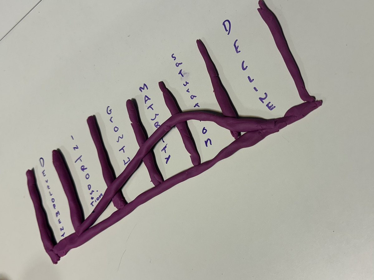 KHSBusinessEd tweet media