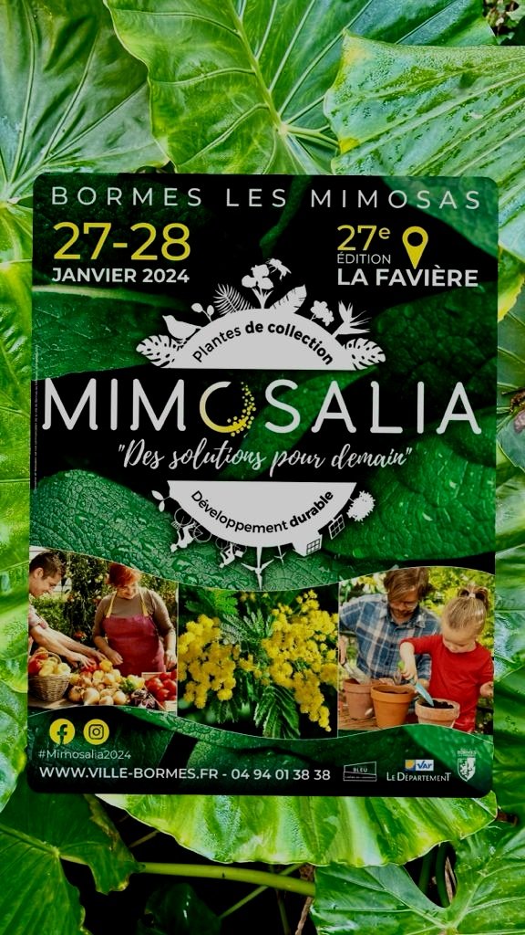 {SAVE THE DATE}  🍃 Retrouvez le Domaine du Rayol à #Mimosalia, 🌿la fête des plantes de #bormeslesmimosas samedi 27 et dimanche 28 janvier 2024.
Pour en savoir plus, cliquez sur le lien : ⬇️ ville-bormes.fr/fr/diffusio/fe…
📷©️DR
#domainedurayol #conservatoiredulittoral