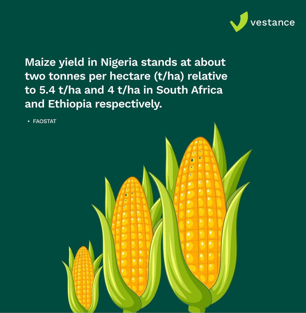 Maize production in Nigeria: A closer look at the numbers. Our article dissects the productivity issues and emphasizes the importance of revisiting land policies. Dive into the details: vestanceng.com/blog/why-niger… #MaizeProductivity #FoodInflation