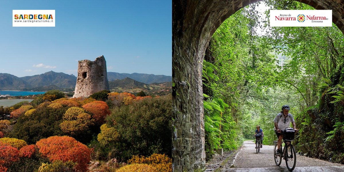 Inmedia Solutions tweet media