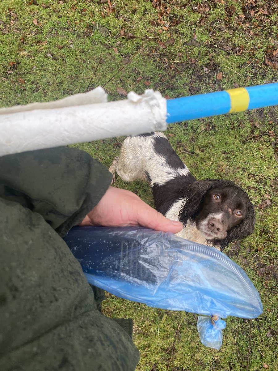 grj243's tweet photo. It’s one of them days! #Tweetthebeat #StormJocelyn #NorthWales https://t.co/THdhlsr2BI
