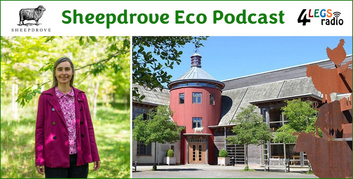 PennyPostWB's tweet image. In the latest #SheepdroveEcoPodcast - winter woodland management @Sheepdrove, #Newbury #FriendsoftheEarth's Warm Shops campaign, #SirBrianHoskins view on govn climate target achievements @Grantham_IC 
Listen here: bit.ly/3OdGG16