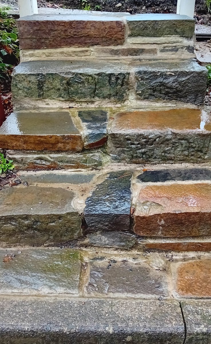 mouse_workshop's tweet image. I had to build new steps up from the road to my garden. I used stone I&apos;d previously dug out of the garden. Then, after measuring up, I built a frame that I levelled up and simply built one step at a time, backfilling as I went. This was part of a larger project, so more to come!