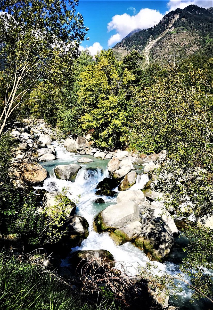 The forest can heal and have a preventative effect on health, as science has often proven. My question is, when will governments and politicians realize that this can also save a lot of money in the healthcare system? Is that so difficult to understand? 💚🌿🌱☘️🌲🌳🍀💚