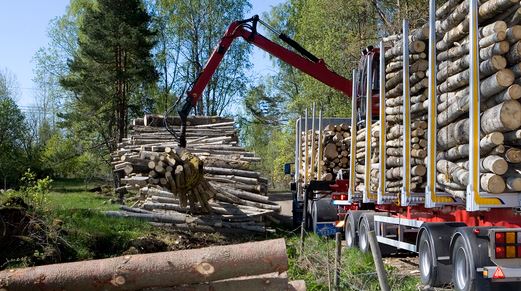 Under förra året ökade sågtimmerpriset med 12 procent och massavedspriset med 37 procent jämfört med året innan. Det visar ny statistik som vi presenterar i dag. skogsstyrelsen.se/nyhetslista/up…