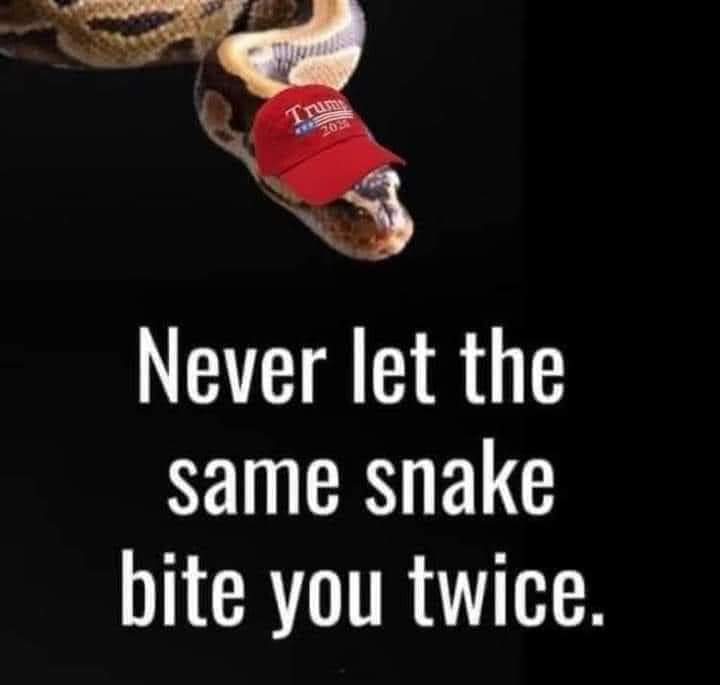 Louie G 🇩🇪🇲🇽🇺🇲 tweet media