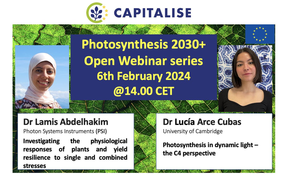 Also featuring at our next webinar - Dr Lucía Arce Cubas presenting the C4 perspective on photosynthesis in dynamic light. #photosynthesis #phenotyping @lifebylucia <a href="/Cambridge_Uni/">Cambridge University</a> To join us register here: capitalise.eu/webinars/