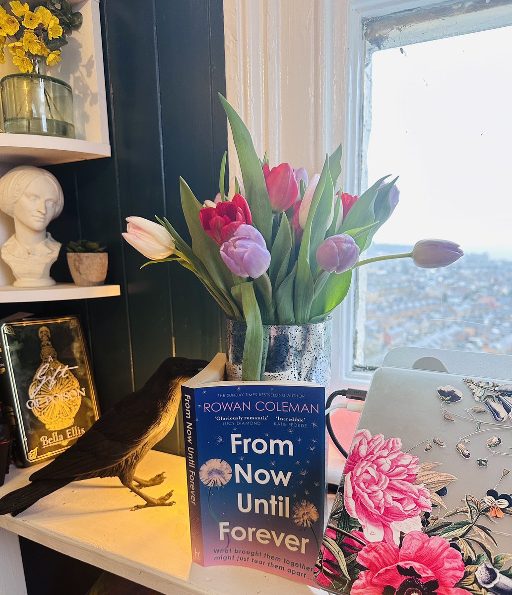 Cheering tulips and oh look my book is out Feb first you could get it and you would like it, maybe. linktr.ee/rowancoleman
