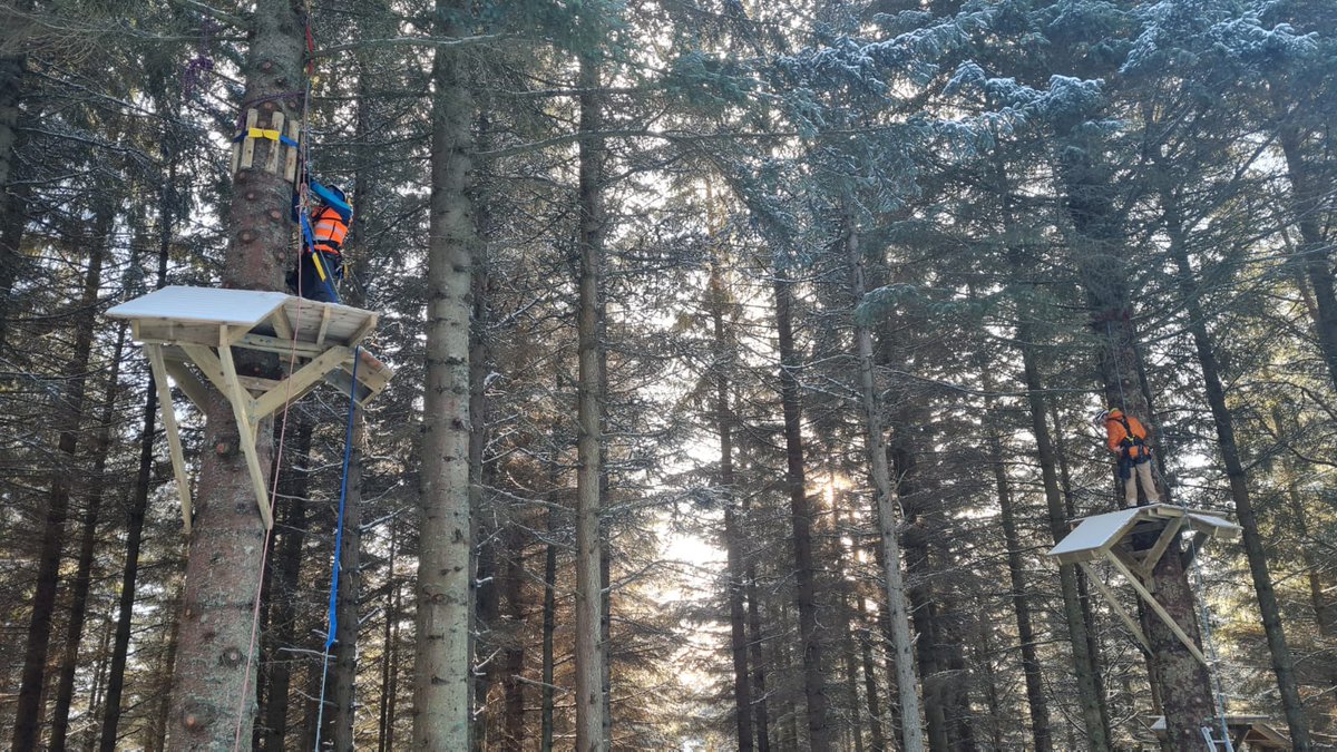 Great news for visitors to the Glenlivet Estate, as we're making progress with the installation of a zipwire course at the Bike Glenlivet centre. The centre is a joint investment between our existing tenant and @CrownEstateScot. Scheduled for an Easter opening, watch this space!