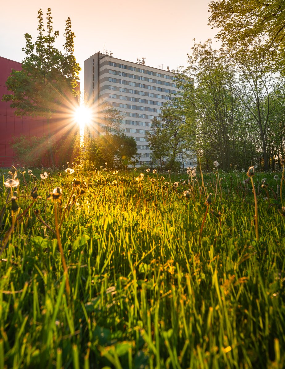 Univerzita Pardubice znovu obhájila prestižní ocenění HR Award, které zajišťuje vysoké škole větší atraktivitu při oslovování vědeckých pracovníků ze zahraničí i získávání významných grantů na podporu výzkumu. upce.cz/univerzita-par…