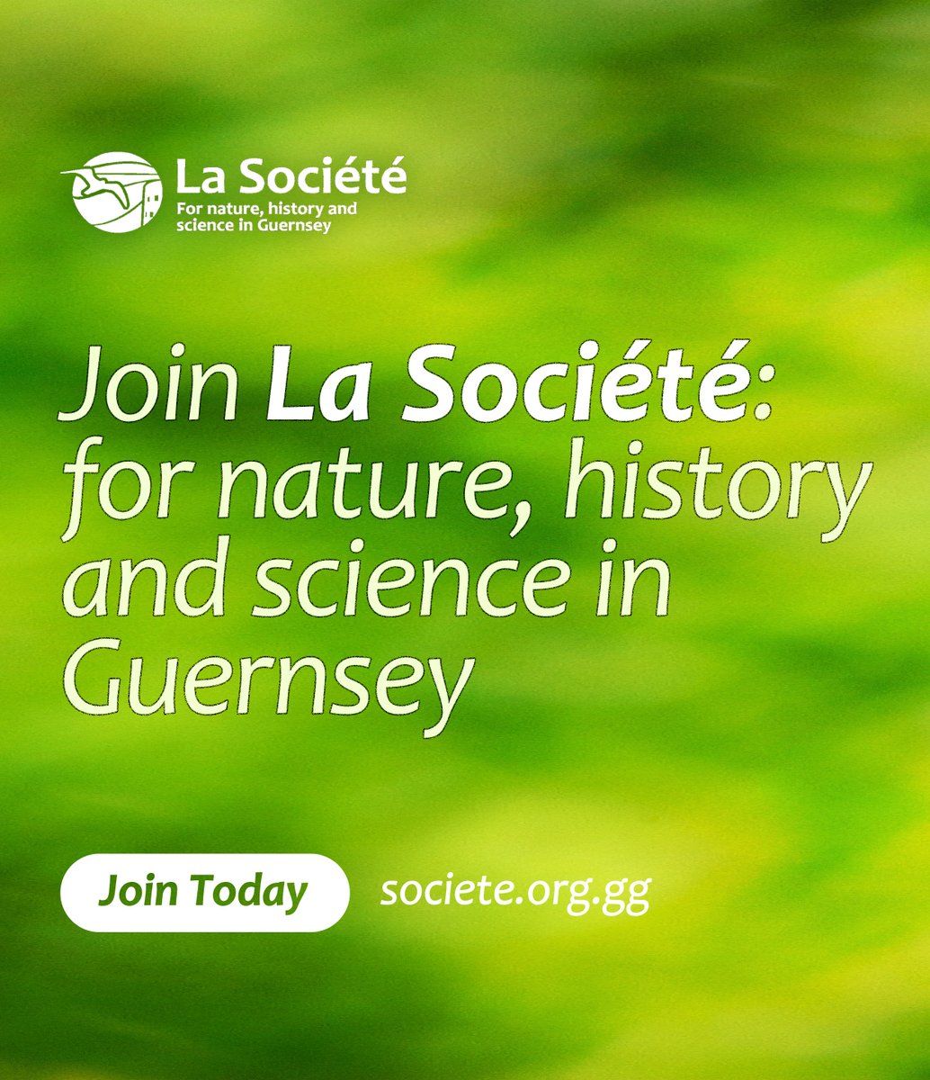 Something to brighten up your 2024 ✨ Become a member of La Société Guernesiaise! 🇬🇬 Members gain access to exclusive events, including nature walks, talks and lectures. Join us and support nature, history and science in Guernsey. Discover more 👉 societe.org.gg/wp/join/