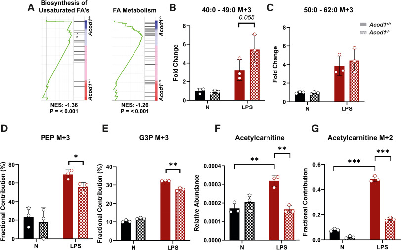 Jan Van den Bossche Lab (@immunometlab) on Twitter photo Shifted glycolytic flux towards glycerol synthesis in Acod1−/− macrophages enables increased de novo synthesis of triglycerides.
🙏<a href="/amsterdamumc/">Amsterdam UMC</a> <a href="/AIIresearch/">Institute for Immunology and infectious Diseases</a> <a href="/ScienceLab_MCBI/">Mol. Cell Biology and Immunology Lab</a> <a href="/Hartstichting/">Hartstichting</a> for the continuous support and funding Shifted glycolytic flux towards glycerol synthesis in Acod1−/− macrophages enables increased de novo synthesis of triglycerides.
🙏<a href="/amsterdamumc/">Amsterdam UMC</a> <a href="/AIIresearch/">Institute for Immunology and infectious Diseases</a> <a href="/ScienceLab_MCBI/">Mol. Cell Biology and Immunology Lab</a> <a href="/Hartstichting/">Hartstichting</a> for the continuous support and funding