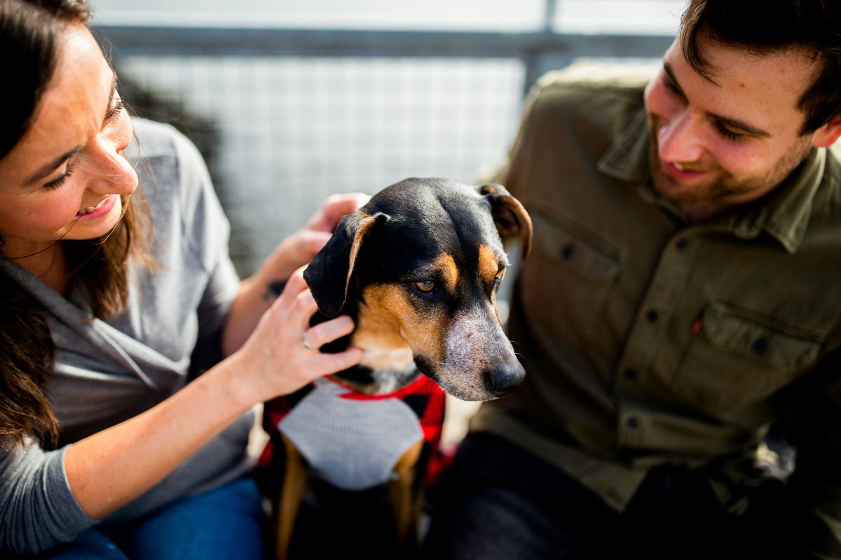 TenderPawsHome's tweet photo. Advocate for the voiceless🩹Rehabilitating injured hearts and bodies📷Committed to creating a world where every dog and cat knows love📷 Sharing tales of triumph and transformation. Together, we make a difference! https://t.co/krYeYd91eq
