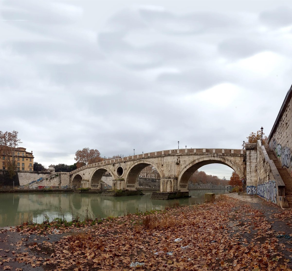 Un clima decisamente invernale per questo martedì di fine Gennaio, in fondo siamo vicini ai #giornidellamerla❄️🐦