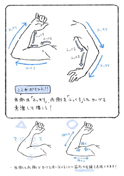 腕を描くときに意識していること。