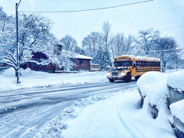 All board provided school buses in both the city and county have been cancelled for the day. Schools remain open.