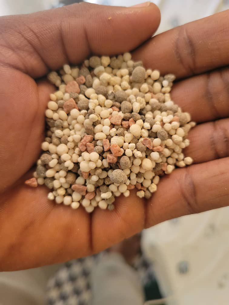 prettyanas_'s tweet photo. NPK 20:10:10 fertilizer available at affordable price 
Location: KADUNA &amp; KATSINA for both wholesale and retail

For more enquiry, please DM or contact me🤝

Thanks for reposting and liking too🙏😂 https://t.co/fy8CGhV93t
