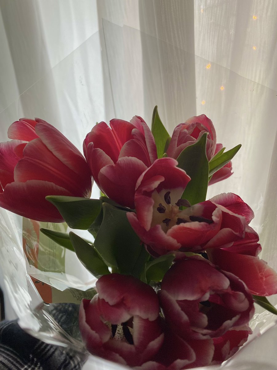 pixiedusss's tweet photo. У нас с дедулей договоренность такая:

Он мне-цветочки, я ему-черный кофе с пирожными в тайне от бабушки https://t.co/1lZfqOjz3k