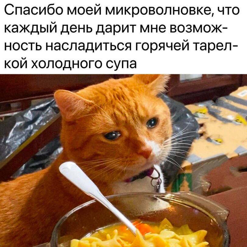 habr_popsci's tweet photo. Опасен ли разогрев и приготовление еды в микроволновке?

Популярный бытовой прибор используется повсеместно и ему посвящено множество статей только на Хабре. Но тема вредности еды из микроволновки интересует многих и раскрыта не полностью: https://t.co/vJ6K4XS9Mv https://t.co/yKOQREBu3Q