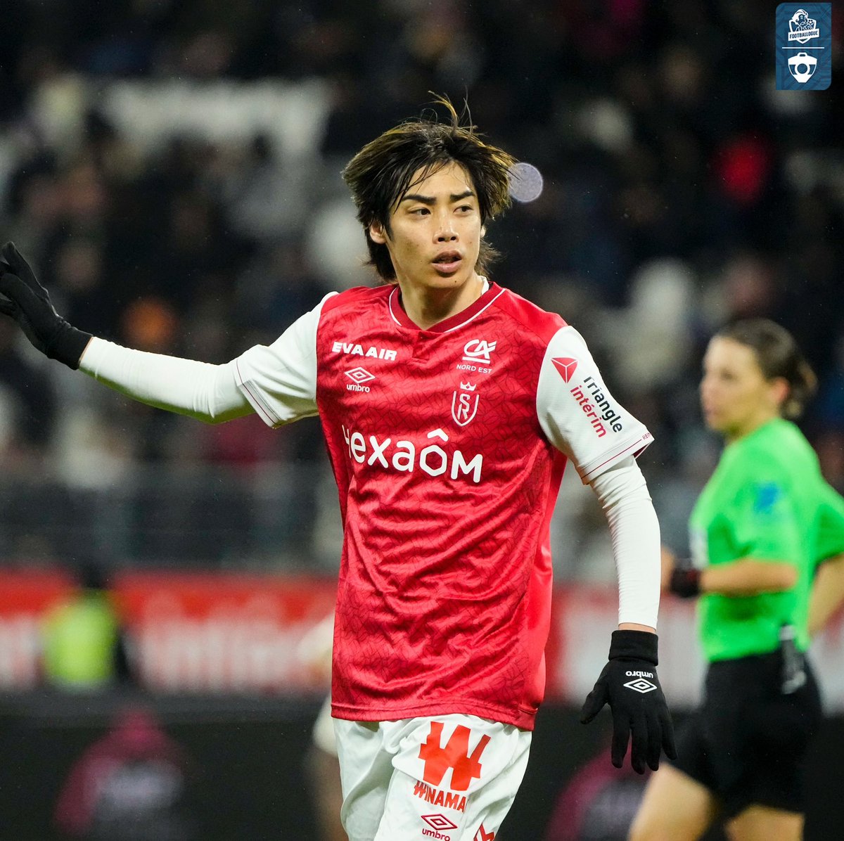 Footballogue tweet media