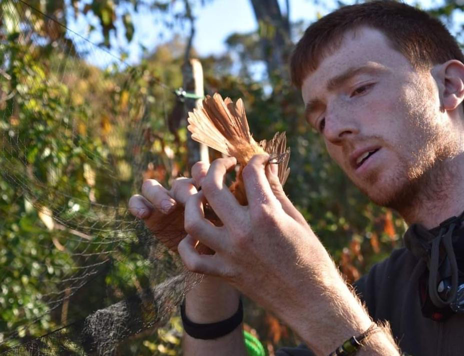 Meet Jack, another panellist for the Careers in Conservation talk. Jack is an ornithologist & bird ringer, currently working at the BBC Natural History Unit as a wildlife researcher for Springwatch & Winterwatch. He is also one half of the 'How Many Geese?' comedy nature podcast!