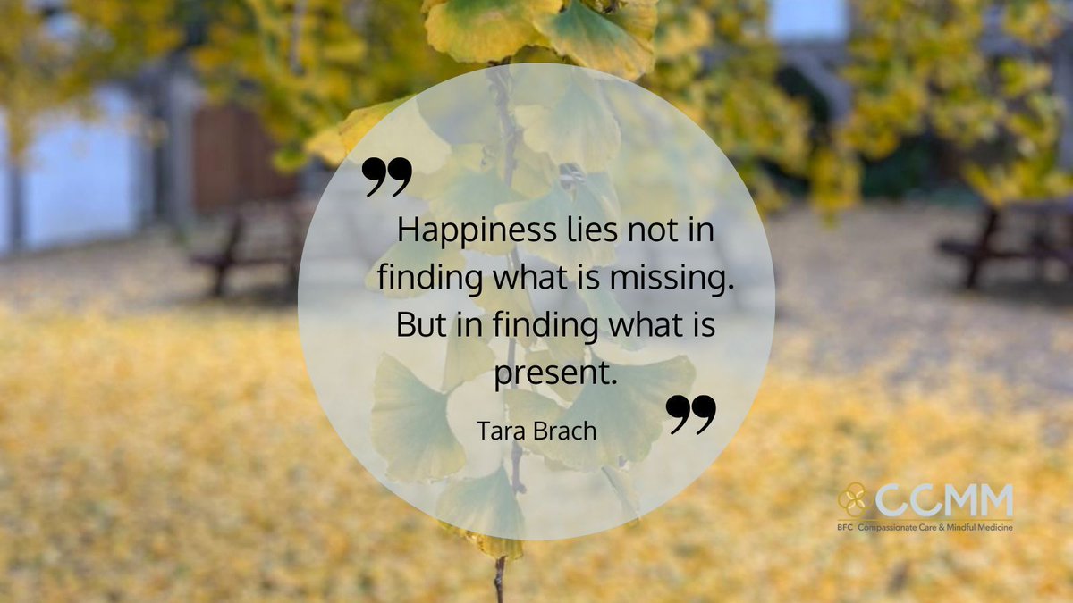 BFC Compassionate Care & Mindful Medicine tweet media