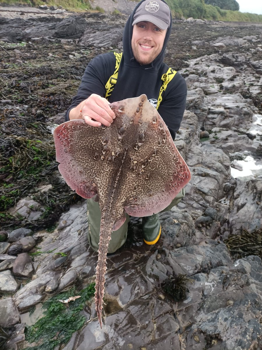 Irish_Angling_Adventures tweet media