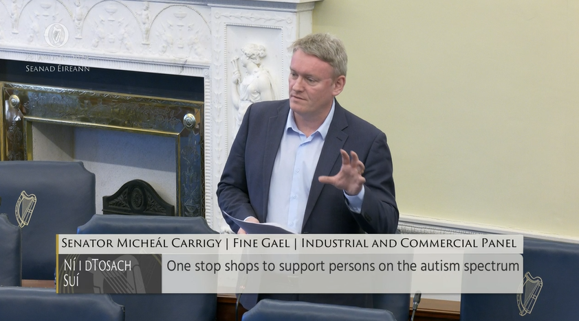 #Seanad Commencement Matter 4: Senator Micheál Carrigy @campaign4carrig – To the Minister of Children, Equality, Disability, Integration and Youth: To discuss the need for one-stop-shops to support persons on the autism spectrum. bit.ly/2WW5Fwa #SeeForYourself