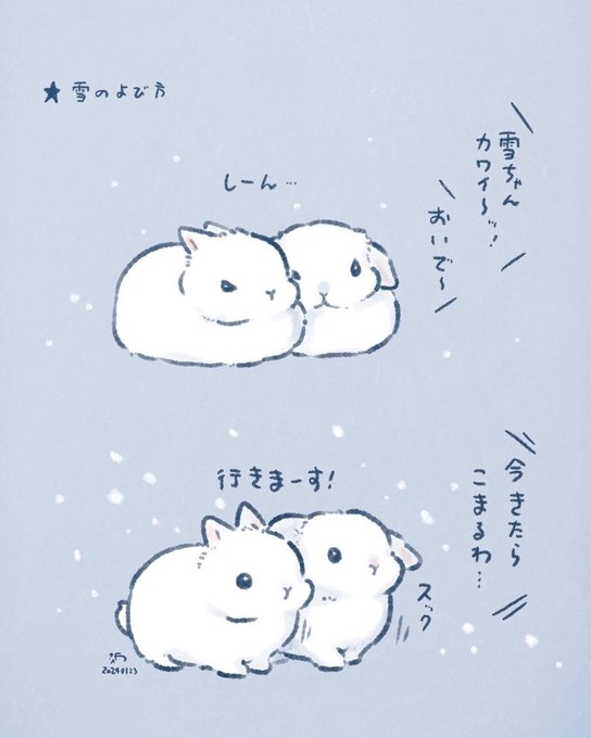 ❄️雪の呼び方教えます🐇