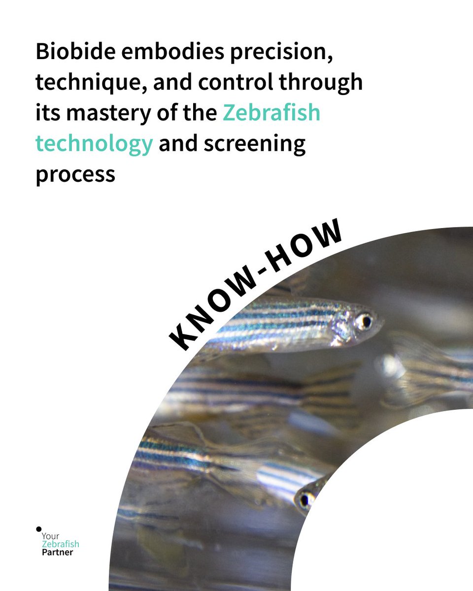 Biobide_'s tweet photo. 🎯 Biobide has an objective: accelerating the clients' R&amp;D process by minimizing risks using Zebrafish alternative model. 

Our 19 years of experience have mastered our precision, technique, and control because we are experts in the Zebrafish technology and screening process. https://t.co/psa0kfJkxe