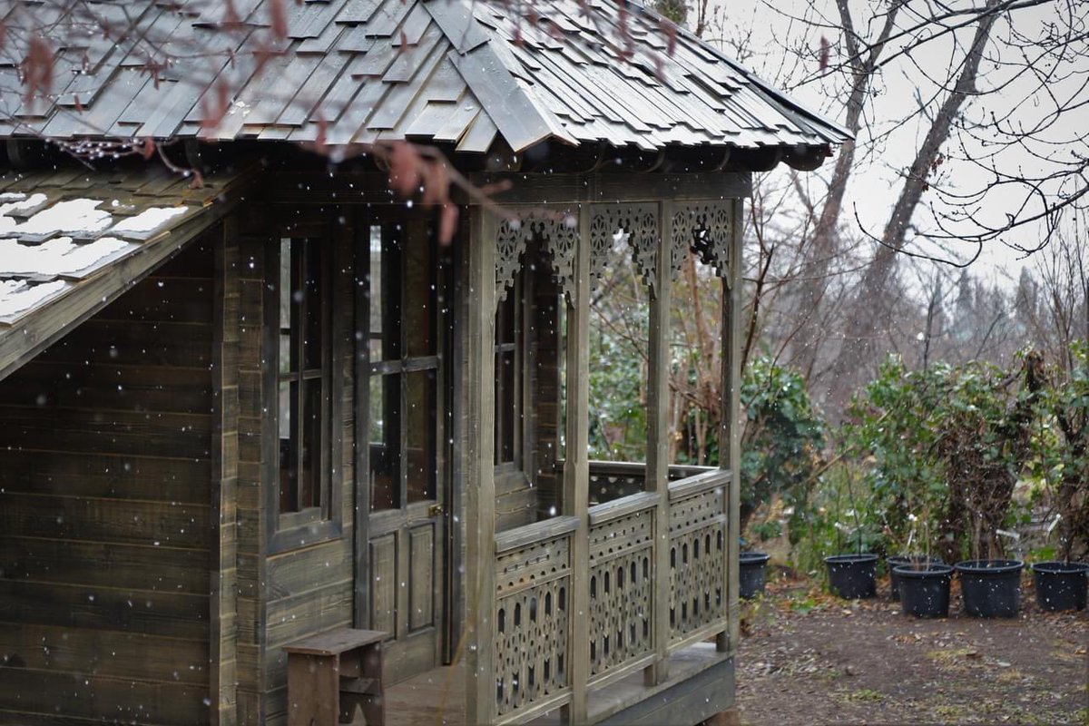 Georgian house in the Botanical Garden🤍 #snow #botanical #garden #plants #Wheat #collection #Tbilisi #თბილისი #ბოტანიკურიბაღი