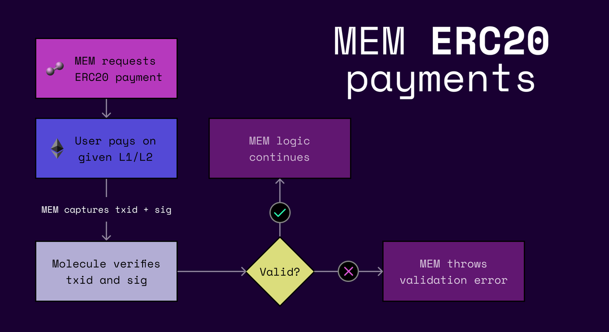 MEM now supports direct ERC20 token payments as part of compute logic, validated in-function by the <a href="/MoralisWeb3/">outdated</a> molecule.