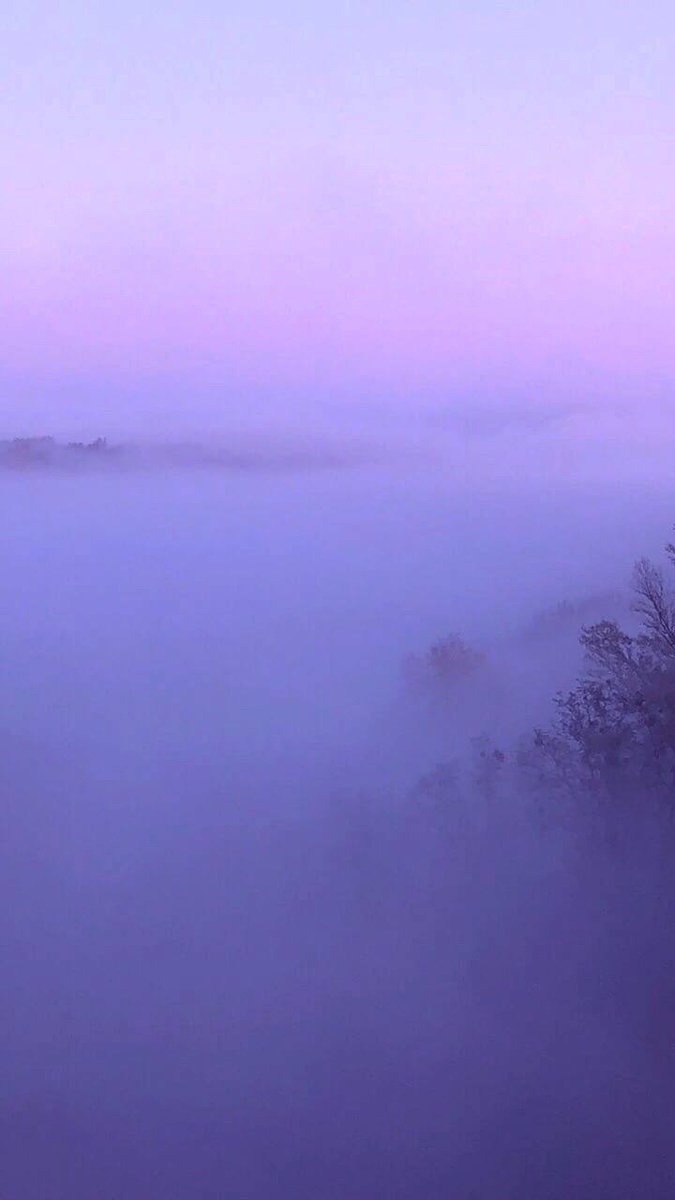 𓆩𝘔𝘐𝘐𝘵𝘴𝘶𓆪 tweet media