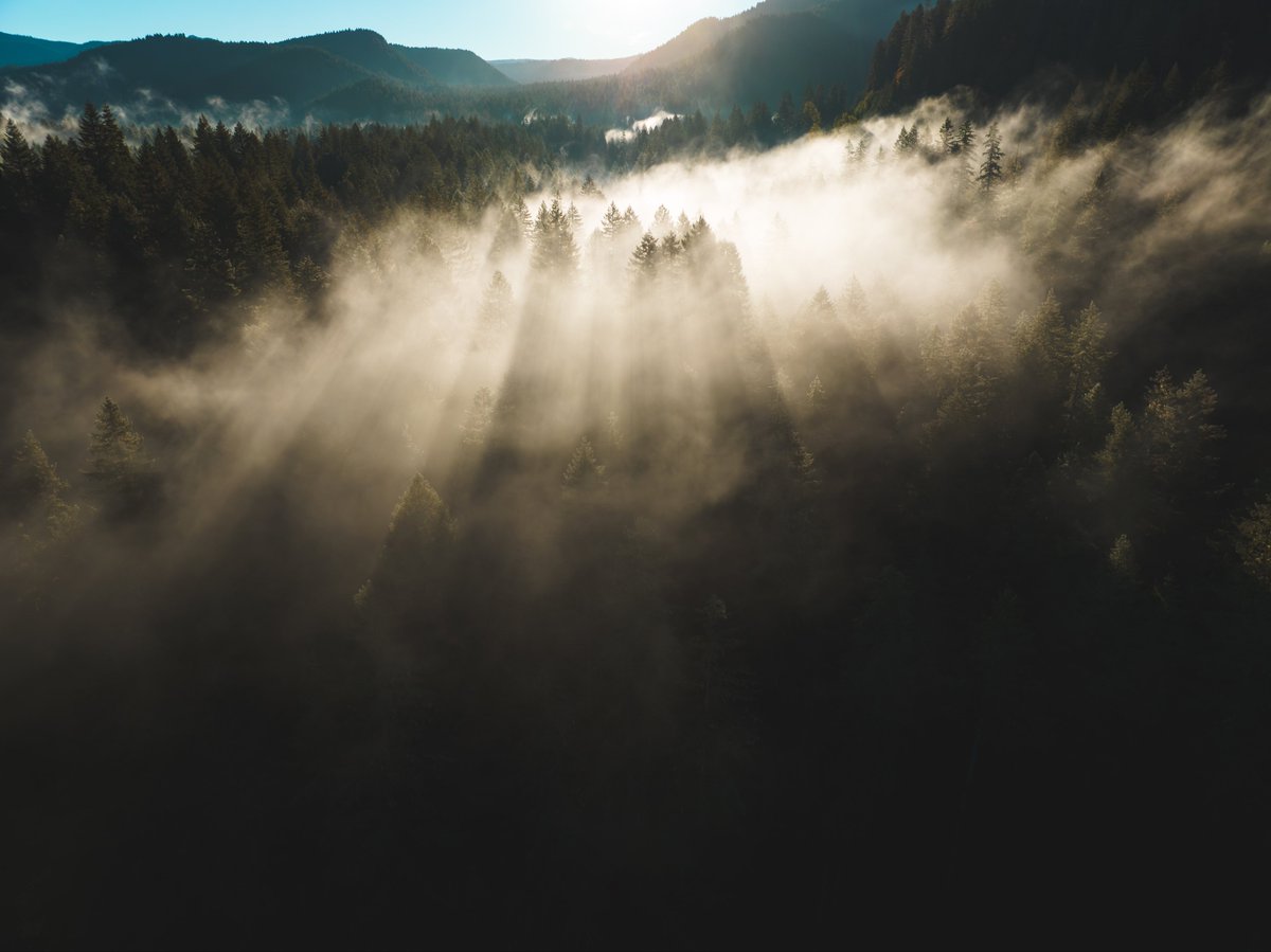 I filmed the aerial footage early one morning a few months ago, just 45min from my house in the Gifford Pinchot Nat’l Forest.

When the sun rises on a cold morning, the Lewis River &amp; surrounding evergreens creates the most enchanting cloud forest I’ve ever seen.