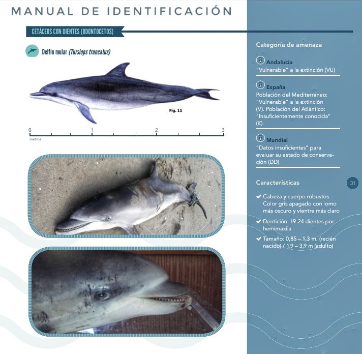 Agentes Medioambientales de Andalucía tweet media