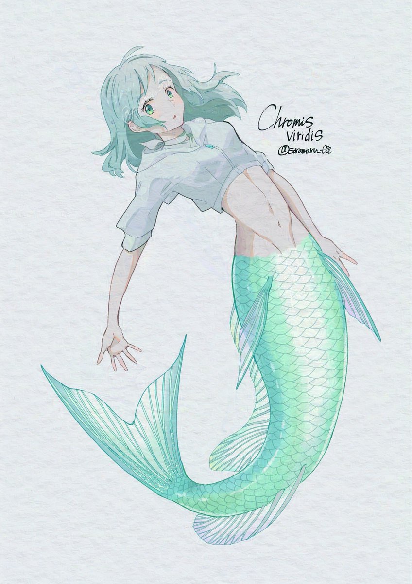 ソラマル tweet media