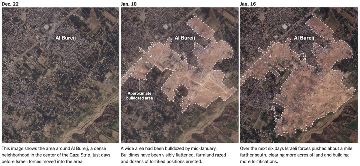 Josh Holder tweet media