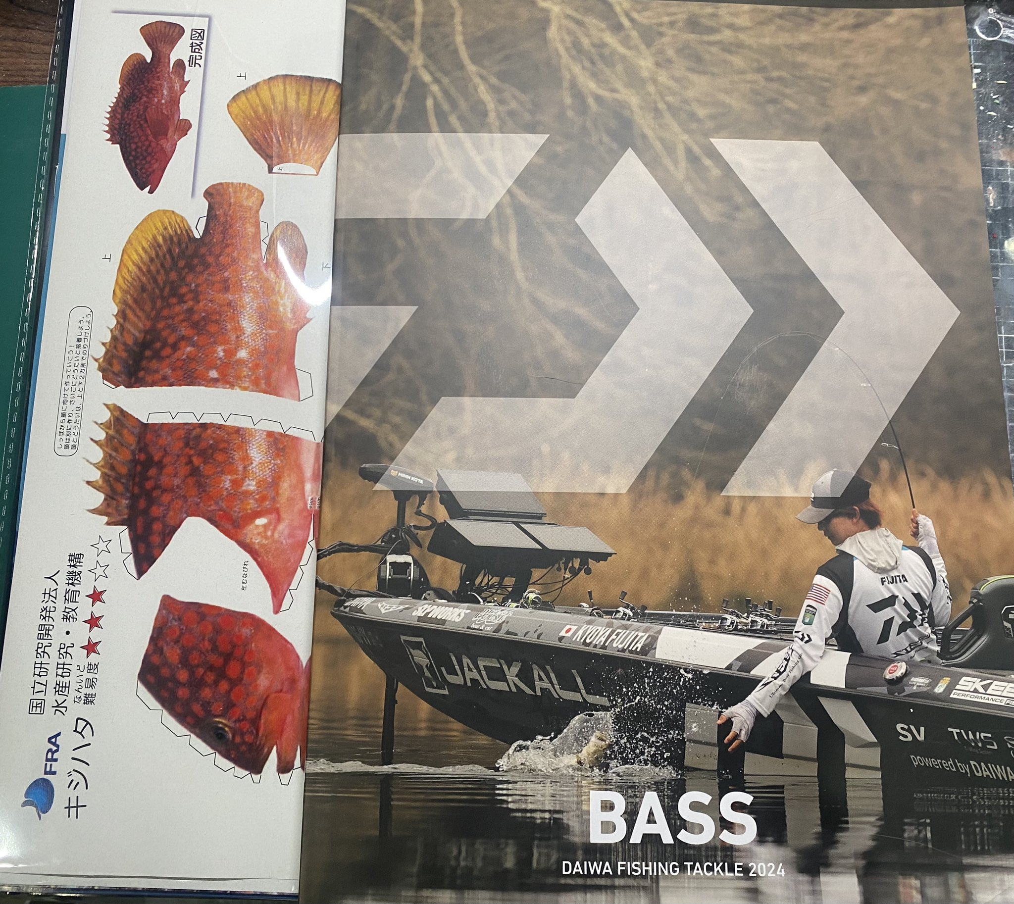 水野 明佳 on X: 水野 明佳 on X: