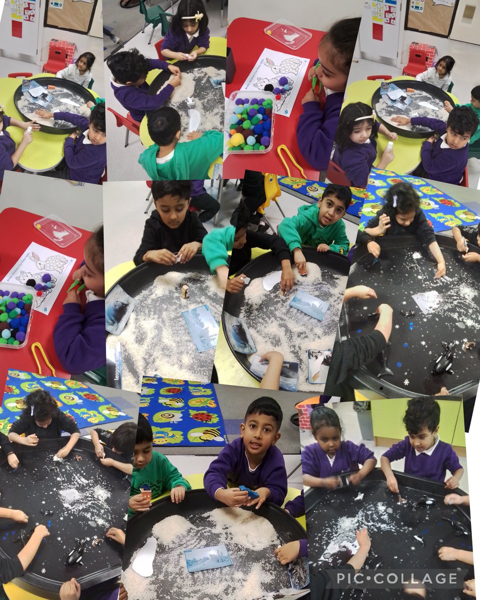 Reception class have been exploring and learning all about artic animals with some very ineresting conversations taking place.