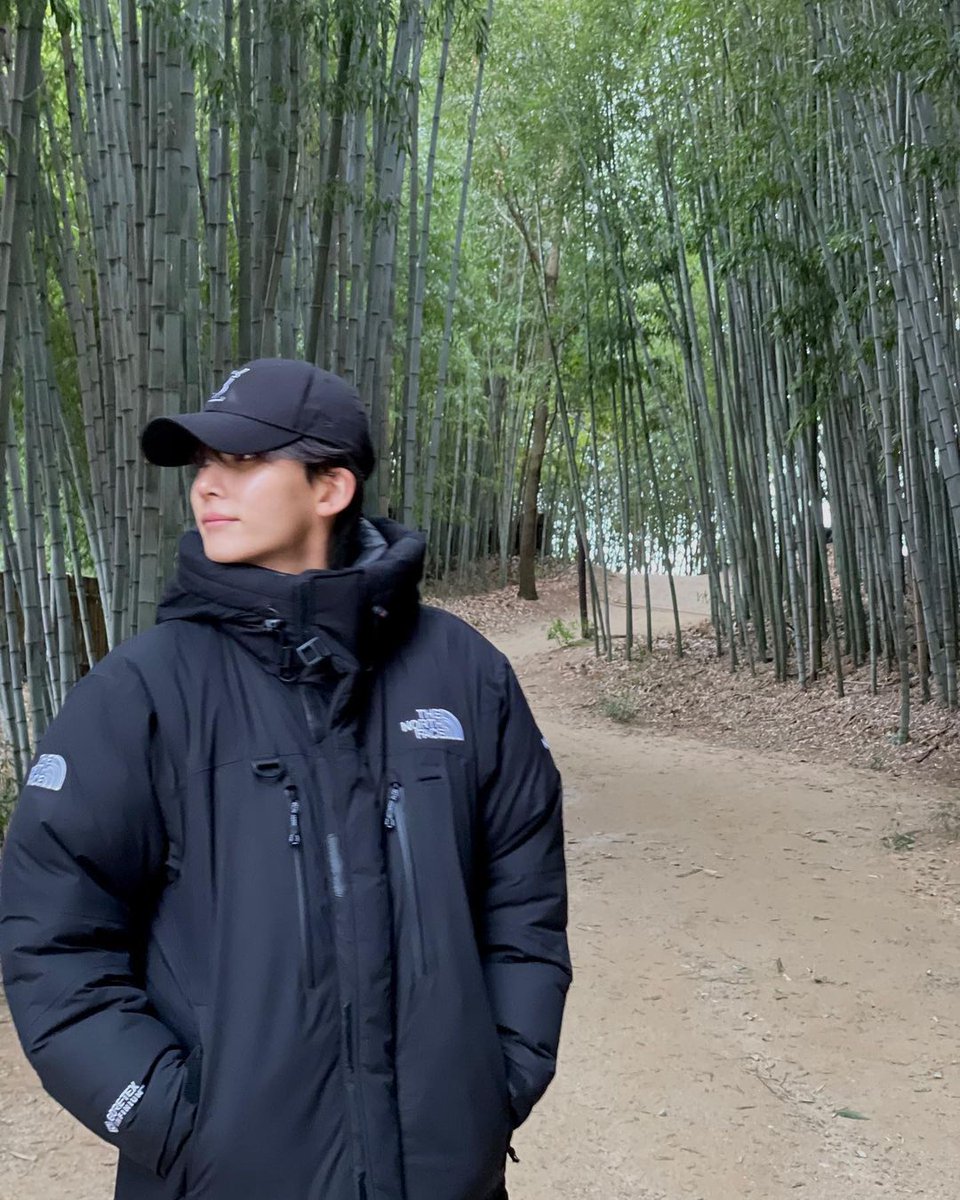 jeonghavnn's tweet photo. kebon bambu date with me? https://t.co/3xOzQdrTJu