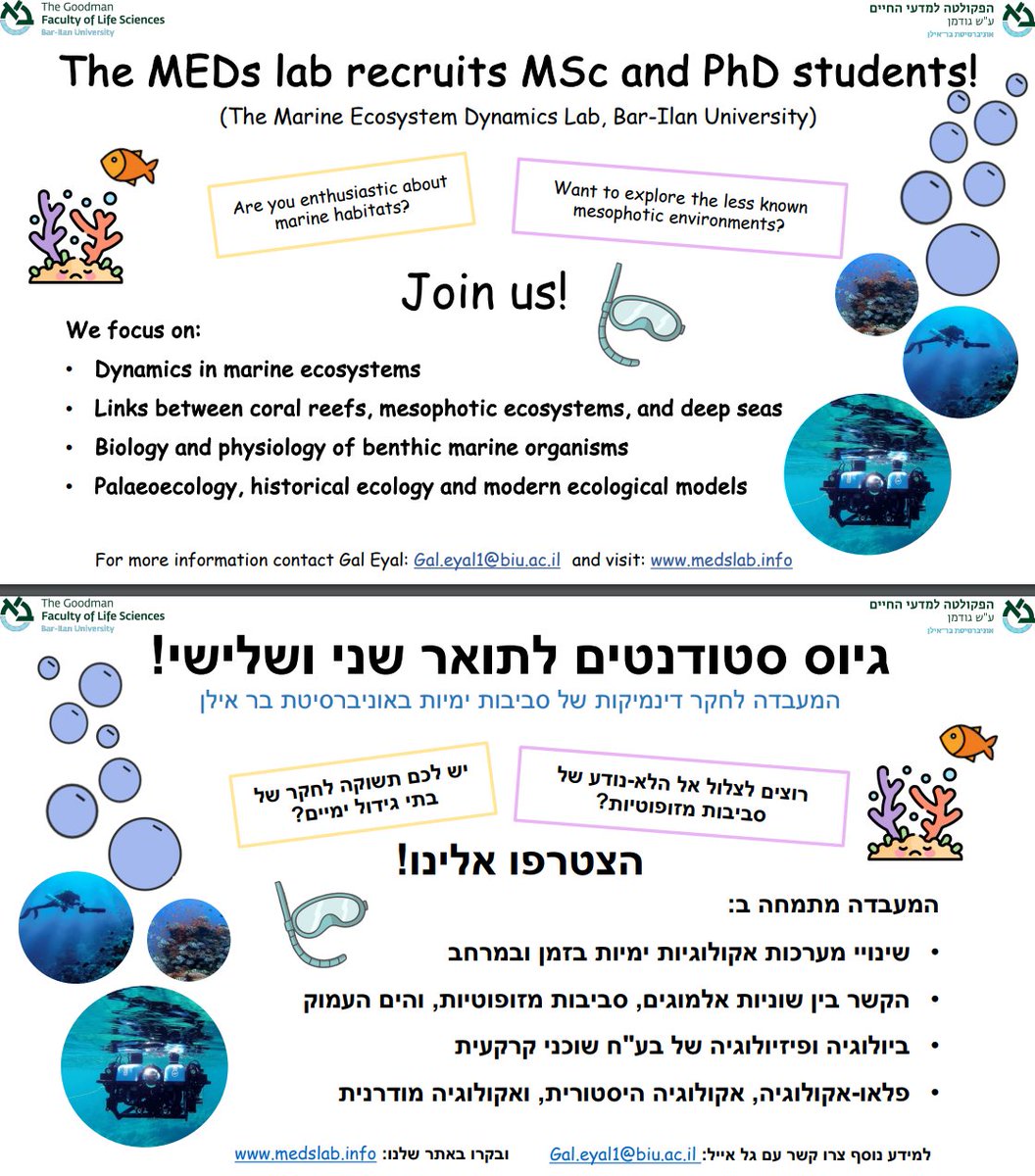 IAAS Israel העמותה הישראלית למדעי הימים (@iaas_israel) on Twitter photo 🐠🦀🦑MSc and PhD Recruitment opportunities!
For more information📭:
Gal.eyal1@biu.ac.il
Also check out💻:
medslab.info 🐠🦀🦑MSc and PhD Recruitment opportunities!
For more information📭:
Gal.eyal1@biu.ac.il
Also check out💻:
medslab.info