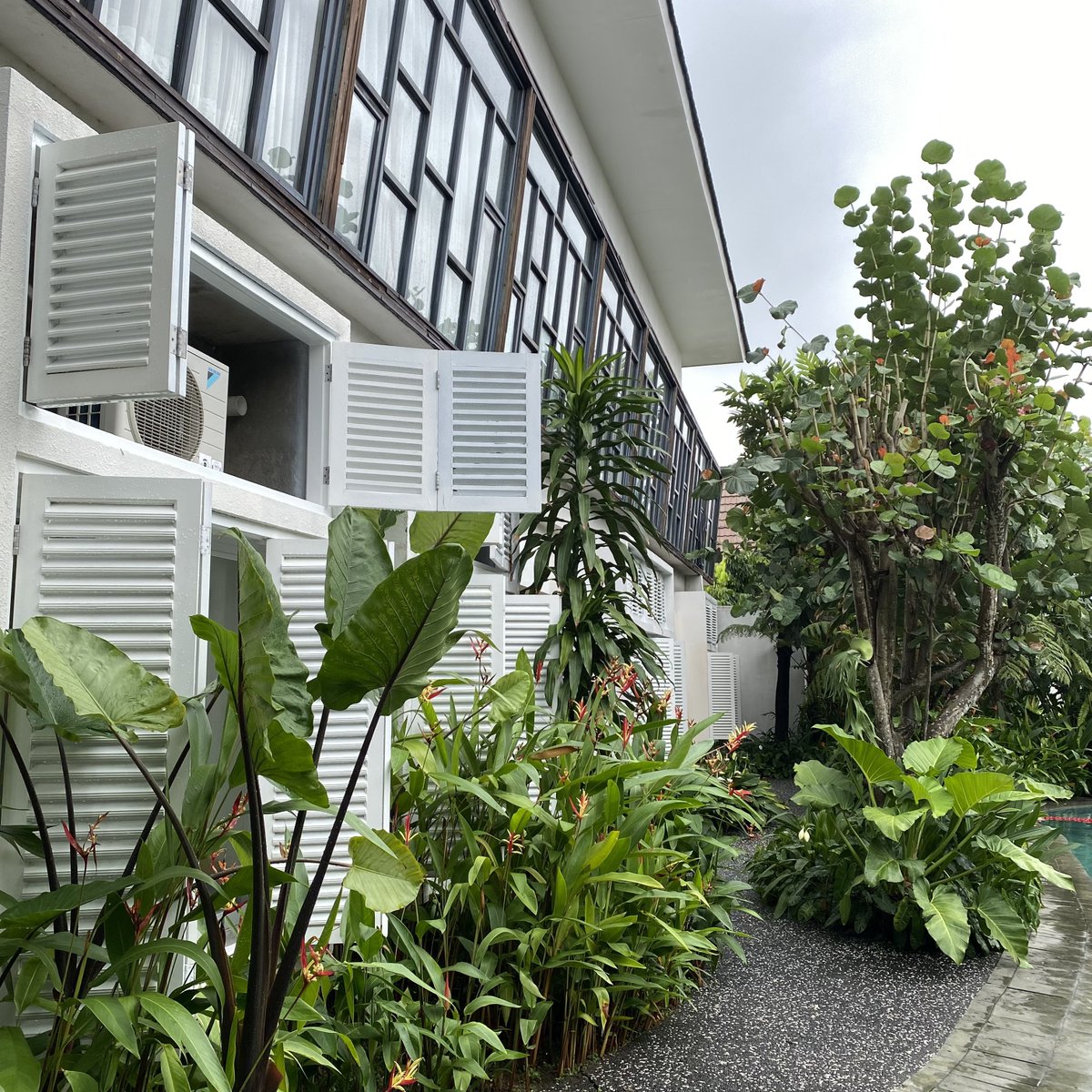 yearendsale_'s tweet photo. betah di sini suasananya tenang dan adem, breakfastnya juga enak ✨

boleh bgt masuk list kalau ke JOGJA 🙌🏼 https://t.co/0VItWRvhZC