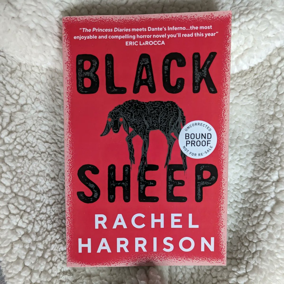 up2latereading's tweet photo. Happy publication day @rachfacelogic
An author who makes the weird seem perfectly normal ๐ Full review over on Insta
#blacksheep #rachelharrison #horrorreads #publicationday #booktwt #booktwitter #uptoolatereading https://t.co/Yb8rBtR1NZ