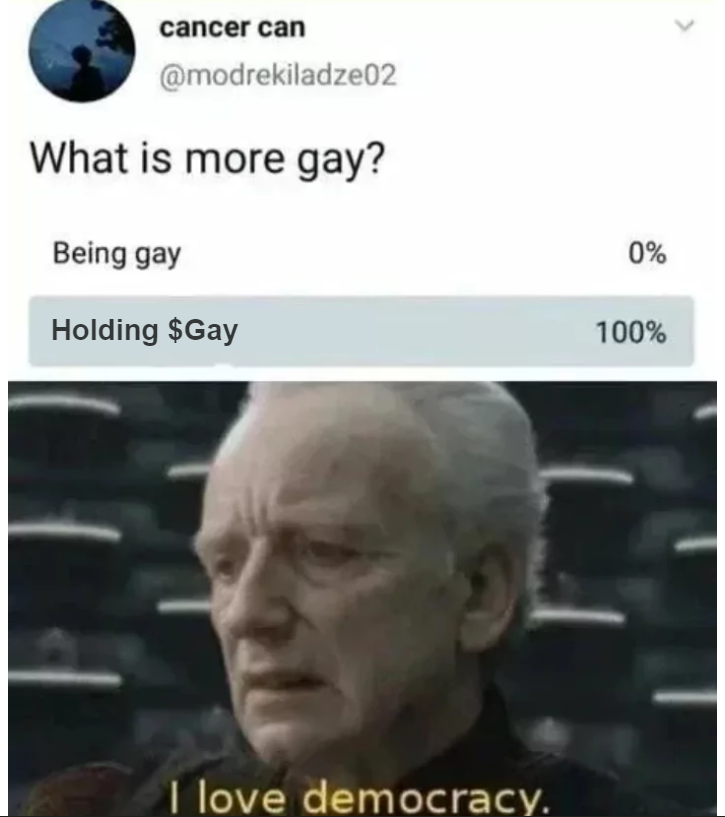GaySolCoin tweet picture