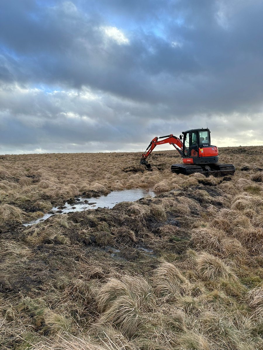 SWPeatland's tweet photo. Some recent snaps from our work making a positive difference to the future of SW peatlands. Thanks as always to our funders
@NaturalEngland @SouthWestWater
#UpstreamThinking #DuchyOfCornwall
@DartmoorNT @CornwallCouncil
and the support of many other vital partners. https://t.co/GF3ciMPMwF